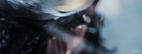 TR10 - Gif animé n°007