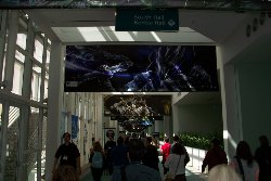 Cliquez sur la photo pour la voir en + grand