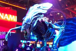 Cliquez sur la photo pour la voir en + grand