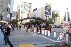 Cliquez sur la photo pour la voir en + grand