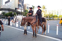 Cliquez sur la photo pour la voir en + grand