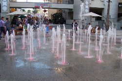 Cliquez sur la photo pour la voir en + grand