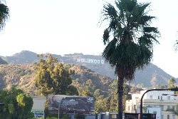 Cliquez sur la photo pour la voir en + grand