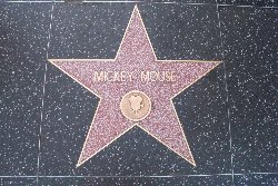 Cliquez sur la photo pour la voir en + grand