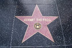 Cliquez sur la photo pour la voir en + grand