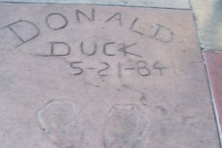 Cliquez sur la photo pour la voir en + grand